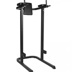 Dip Station mit Rückenpolster