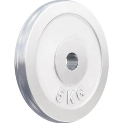 Hantelscheibe Chrom 0,5 - 30 kg