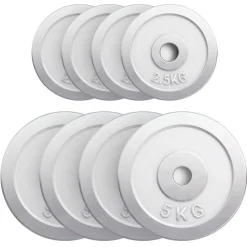 Hantelscheibe Chrom 0,5 - 30 kg