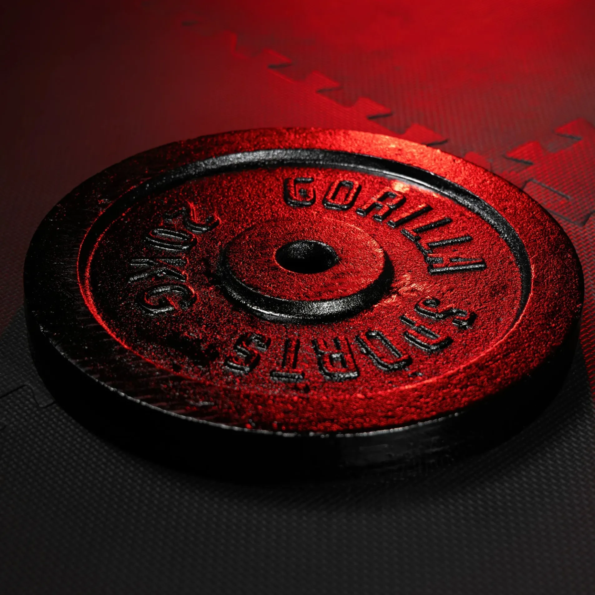 Hantelscheibe Gusseisen 0,5 - 30 kg